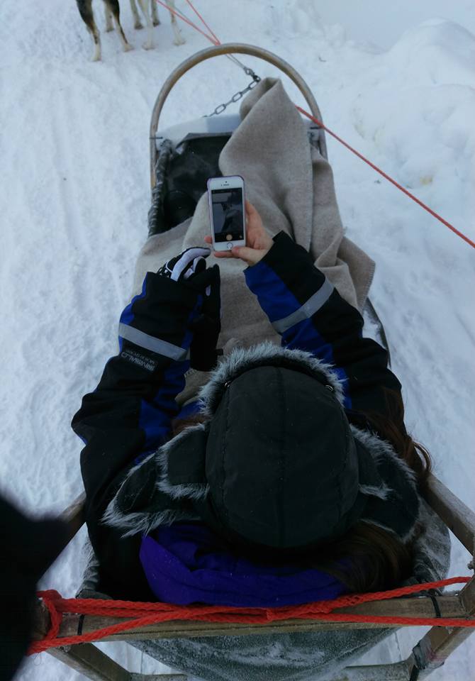 Husky sledding in Finland