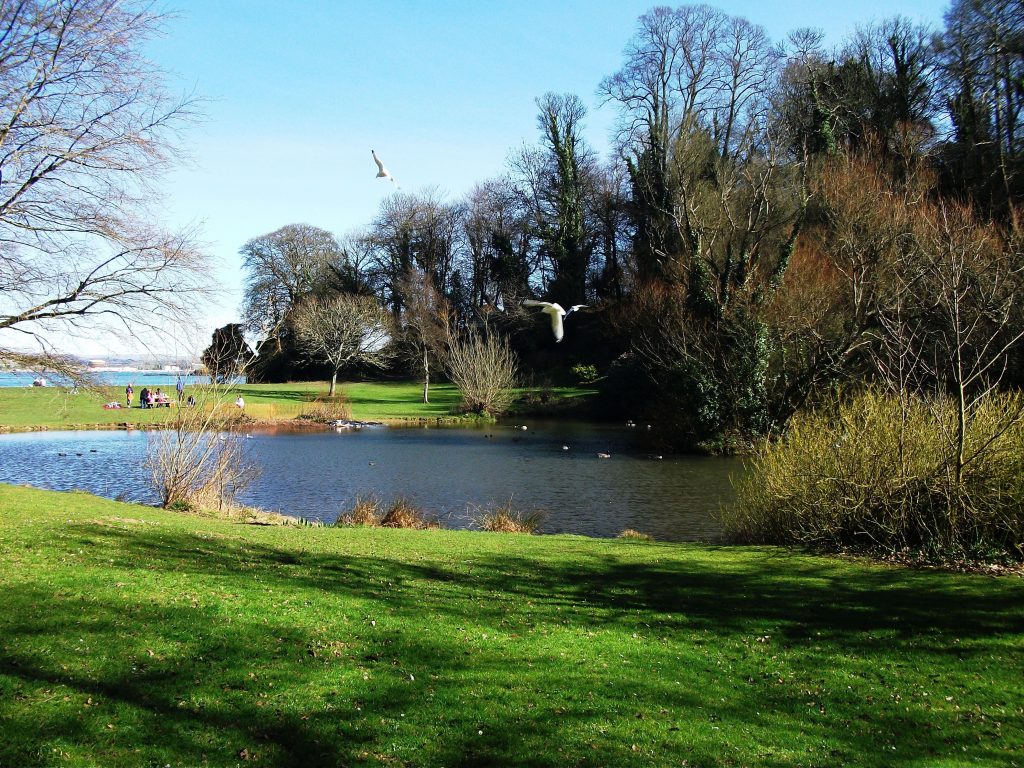 Mount Edgcumbe Lake