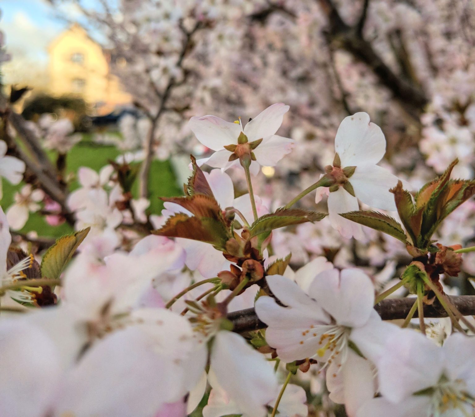 14+ Activities & Destinations To Add To Your UK Spring Bucket List