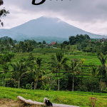 10 Day Bali Itinerary For Honeymooners