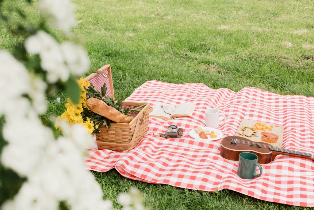 Paris picnic